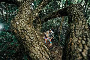 BIB: 
                            <button type="button" onclick="openModal(25392602)" class="btn btn-primary btn-sm float-right btn-popup" data-toggle="modal" data-target=".modal-high-quality">
                        <i class="fas fa-shopping-cart"></i> Add to Cart
                    </button>
                                            <button type="button" onclick="isThisMe(25392602, true)" class="btn btn-success btn-sm float-right btn-popup btn-isme hidden" data-toggle="tooltip" data-placement="bottom" title="นี่คือรูปของคุณใช่ไหม คลิกที่นี่เพื่อเอาเข้าอัลบั้ม">
                        <i class="fas fa-plus"></i> Add to album
                    </button>
                    <button type="button" onclick="isThisMe(25392602, false)" class="btn btn-warning btn-sm float-right btn-popup btn-isnotme hidden">
                        <i class="fas fa-ban"></i> Remove from album
                    </button>